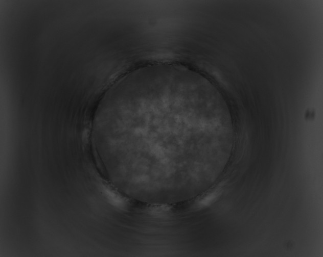 X0000091900576200710031205