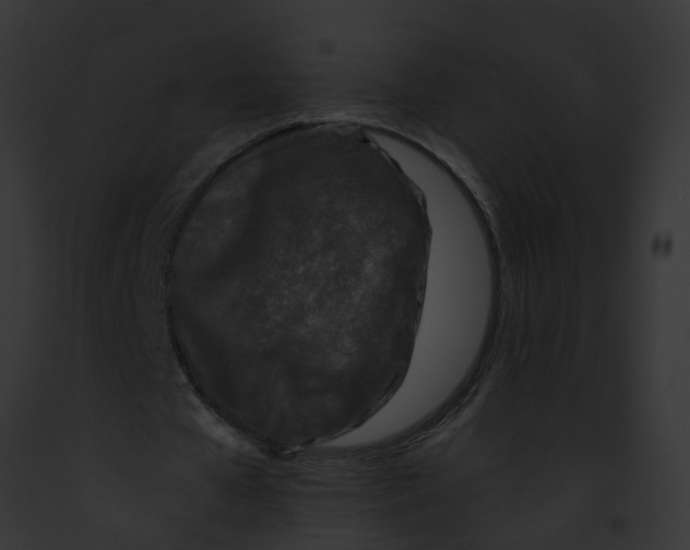 X0000091900577200710031204