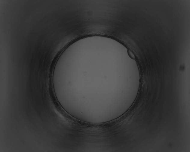 X0000091900578200710031204