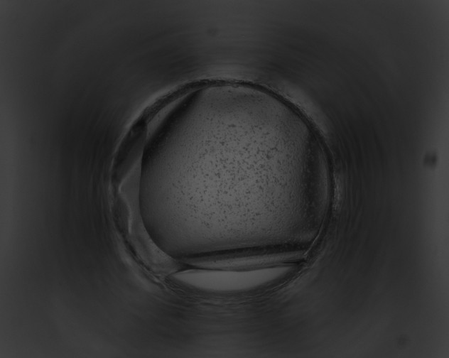 X0000091900580200710031204