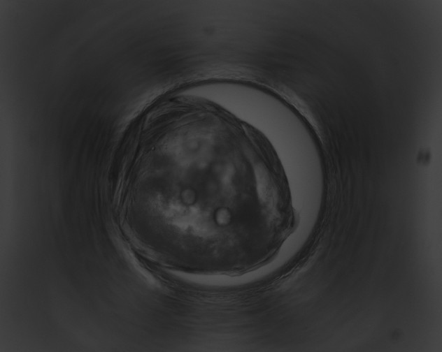 X0000091900581200710031204