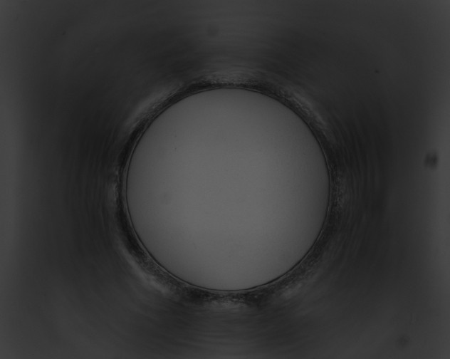 X0000091900586200710031204