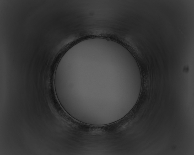 X0000091900587200710031204