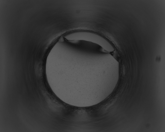 X0000091900588200710031204