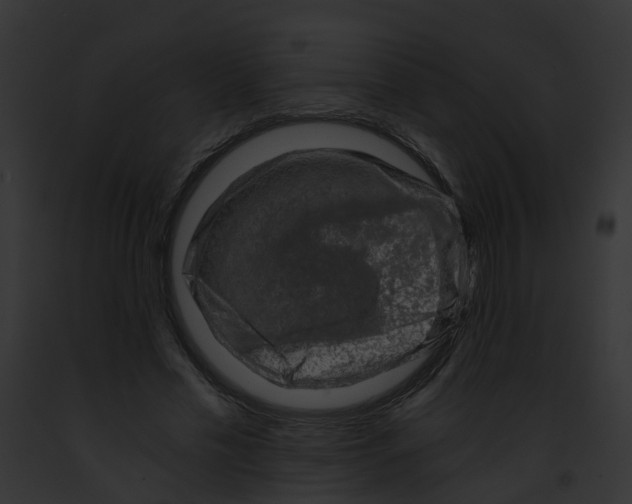 X0000091900589200710031204