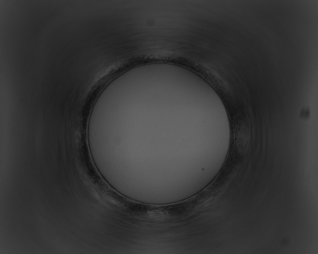 X0000091900591200710031204