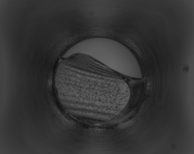 X0000091900593200710031204