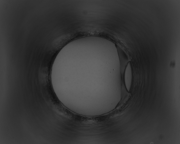 X0000091900594200710031204