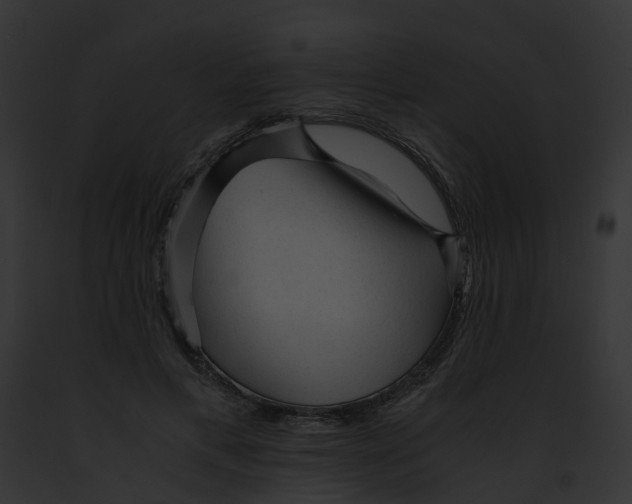 X0000091900597200710031204