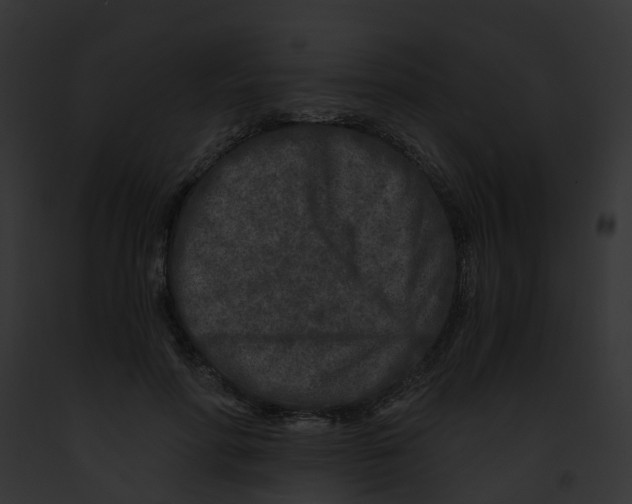 X0000091900598200710031203