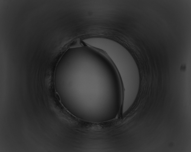 X0000091900600200710031203