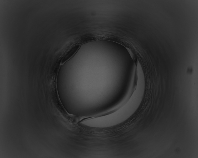 X0000091900601200710031203