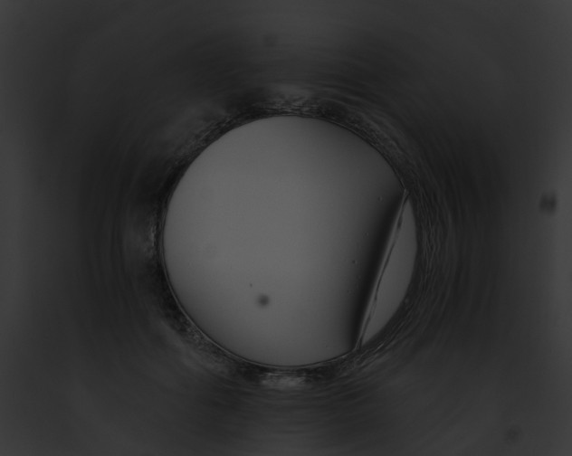 X0000091900602200710031203