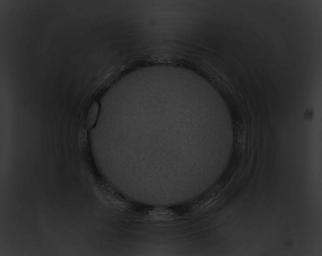 X0000091900603200710031203