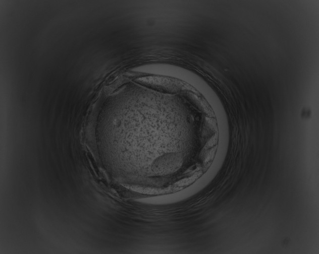 X0000091900604200710031203