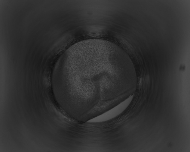 X0000091900606200710031203