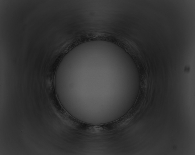 X0000091900607200710031203