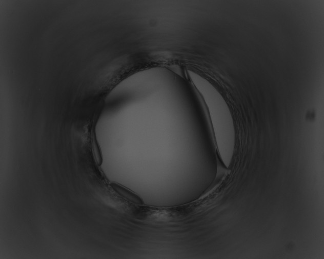 X0000091900611200710031203