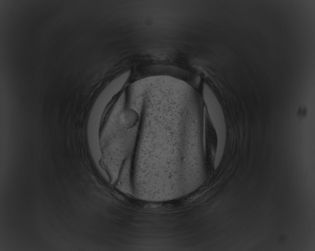 X0000091900613200710031203