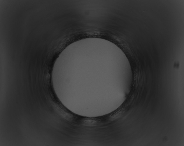 X0000091900614200710031203