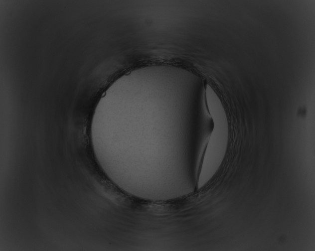 X0000091900615200710031203