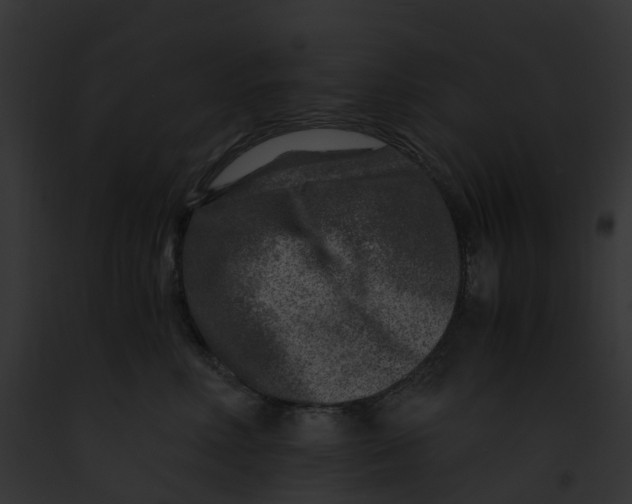 X0000091900618200710031203