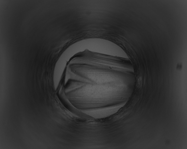 X0000091900620200710031203