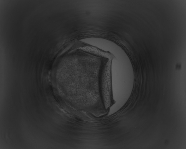 X0000091900621200710031203