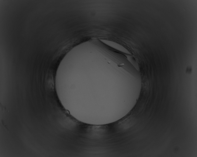 X0000091900622200710031203