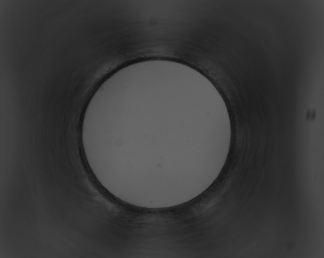 X0000091900625200710031202