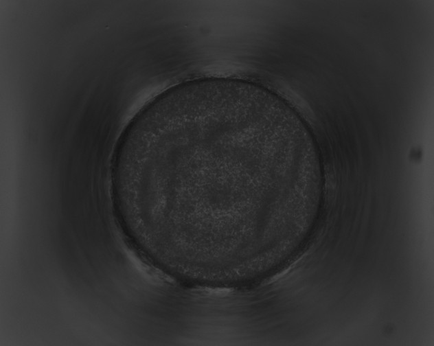 X0000091900626200710031202