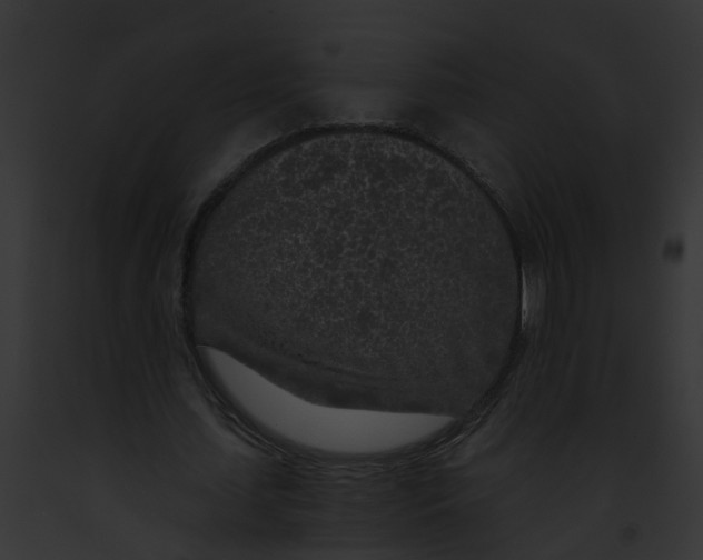 X0000091900627200710031202