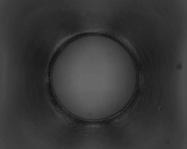 X0000091900628200710031202