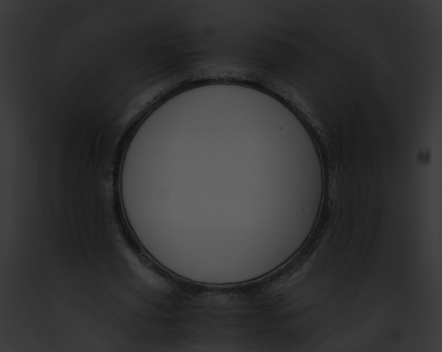 X0000091900629200710031202