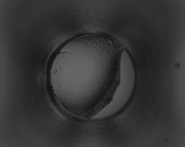 X0000091900630200710031203