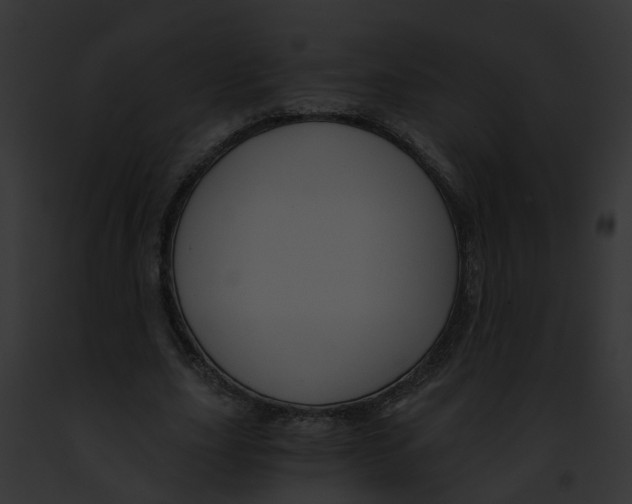 X0000091900631200710031203