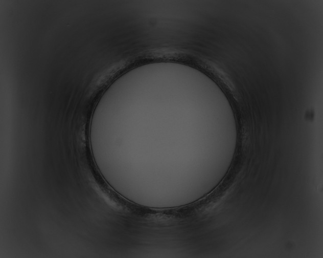 X0000091900633200710031203