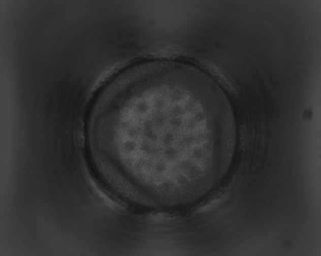 X0000091900634200710031203