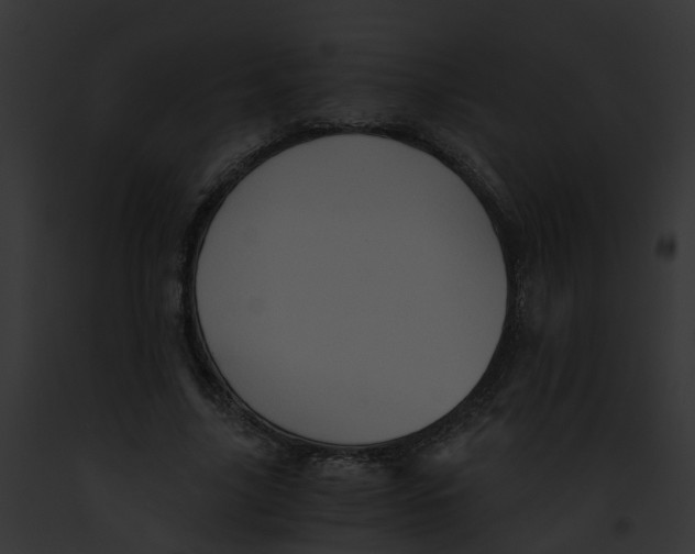 X0000091900635200710031203