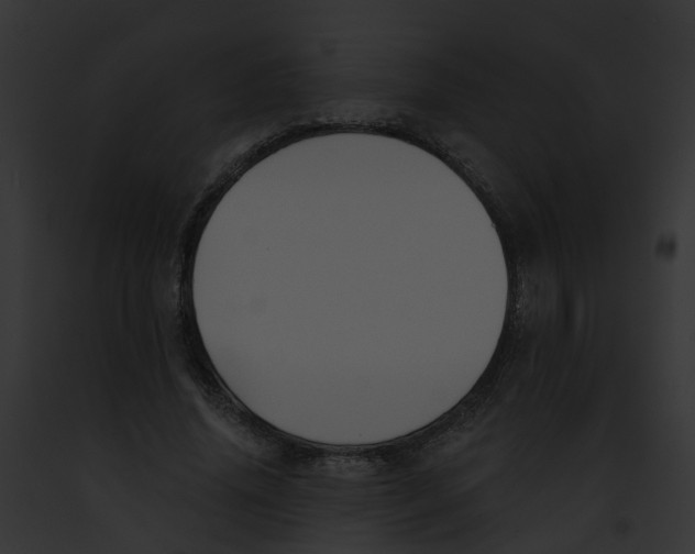 X0000091900636200710031203