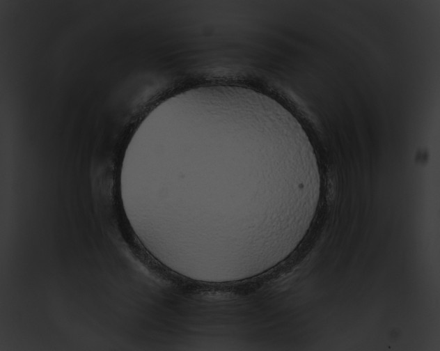 X0000091900637200710031203