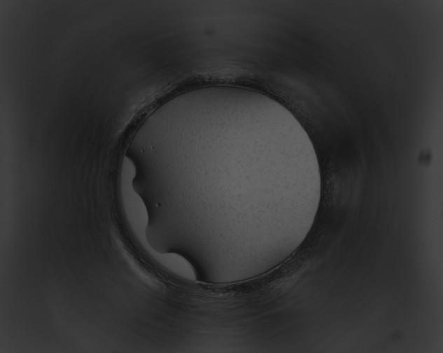 X0000091900638200710031203