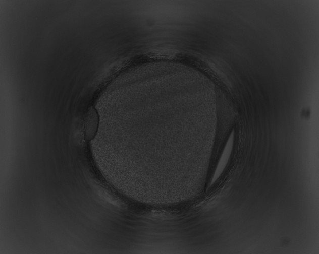 X0000091900641200710031203