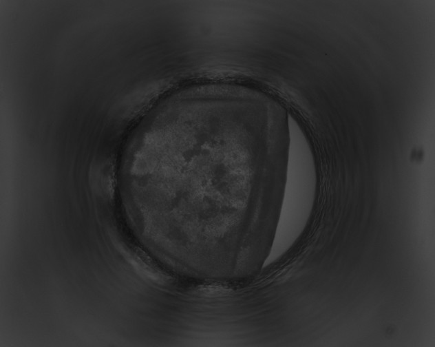 X0000091900644200710031203