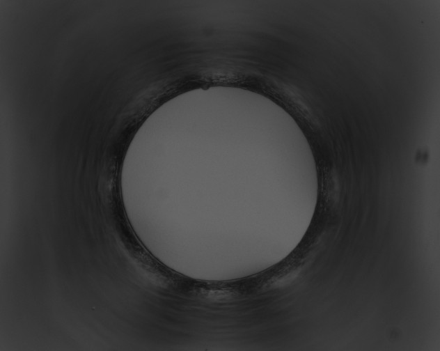 X0000091900645200710031203