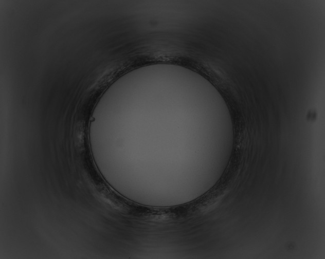 X0000091900646200710031203