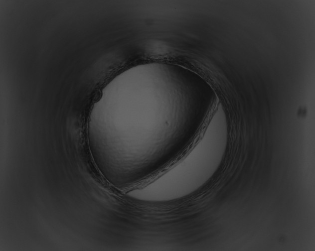 X0000091900653200710031203