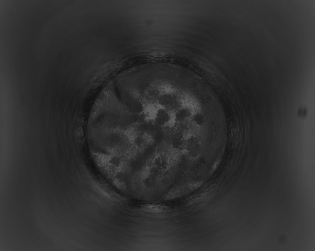 X0000091900654200710031203