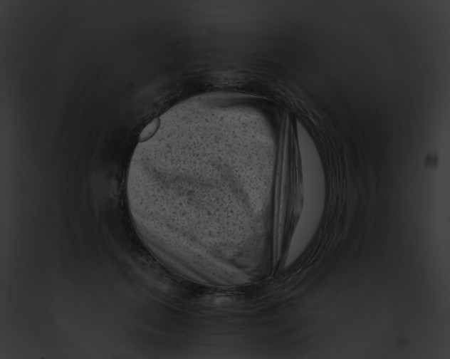 X0000091900655200710031203