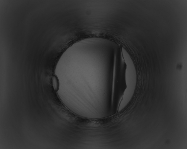 X0000091900656200710031203